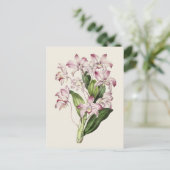  Dendrobium bloemenillustratie Briefkaart (Staand voorkant)