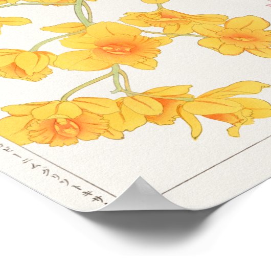 Dendrobium, China Pasen van Tanigami Konan Poster (Hoek)