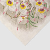 Dendrobium Falconeri (Orchid) door Jean Jules Lind Tissuepapier (Detail)