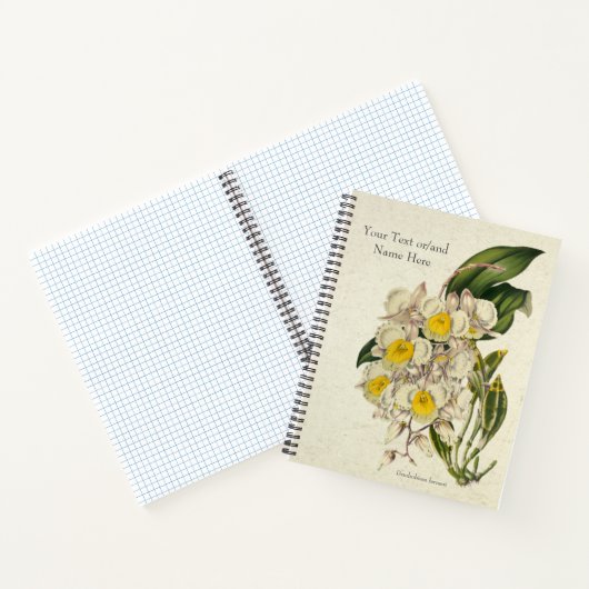 Dendrobium farmeri Orchidee Notitieboek (Binnen)