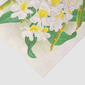 Dendrobium Galliceanum (Orchid) door Jean Linden Tissuepapier (Detail)