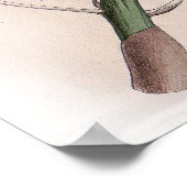 Dendrobium hillii Orchidee Flower Poster (Hoek)