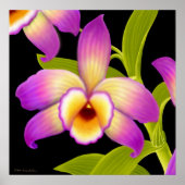 Dendrobium Nobile Orchid Print (Voorkant)