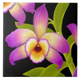 Dendrobium Nobile Tropisch Orchid Tile Tegeltje