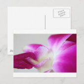 Dendrobium Orchid Briefkaart (Voorkant / Achterkant)