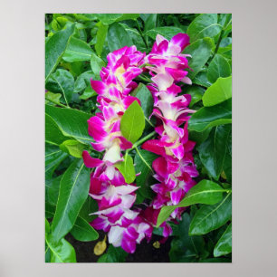 Dendrobium Orchid Lei Poster