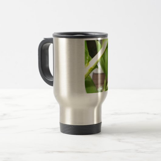 Dendrobium Orchid stengels closeup Reisbeker (Voorkant links)