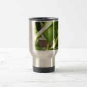 Dendrobium Orchid stengels closeup Reisbeker (Center)