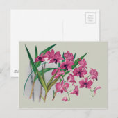 Dendrobium Orchids Floral Briefkaart (Voorkant / Achterkant)