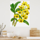  Dendrobium suavissimum Orchidee Flower Poster (Keuken)