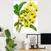  Dendrobium suavissimum Orchidee Flower Poster (Thuiskantoor)