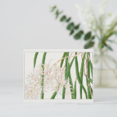 Dendrobium teretifolium door Tanigami Konan Briefkaart (Staand voorkant)