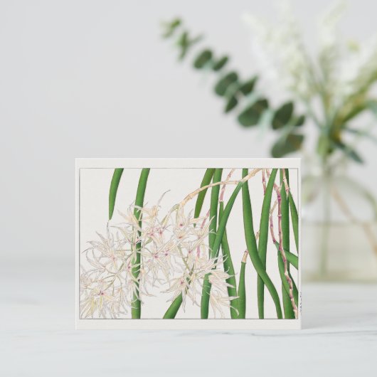Dendrobium teretifolium door Tanigami Konan Briefkaart (Staand voorkant)