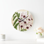 Dendrobrium Ainsworth  Lindenia Orchid Grote Klok (Huis)