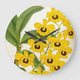 Dendrobrium Suavissimum  Lindenia Orchid Grote Klok