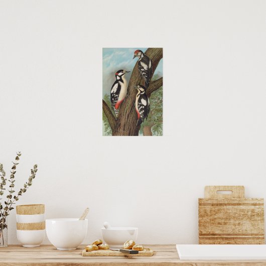 Dendrocopus major van Johann Friedrich Naumann Poster (Keuken)