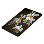 Dendroium Orchideeën Magneet (Linkerzijde)