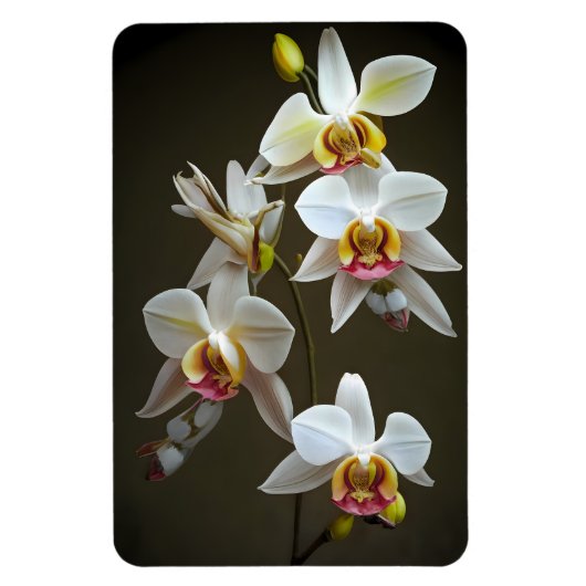 Dendroium Orchideeën Magneet (Verticaal)