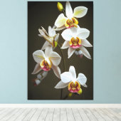 Dendroiumorchideeën Canvas Afdruk (Insitu (Houten vloer))