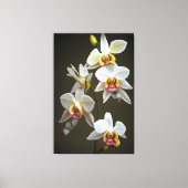Dendroiumorchideeën Canvas Afdruk (Voorkant)