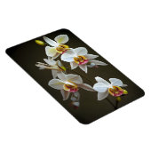 Dendroiumorchideeën Magneet (Rechterzijde)