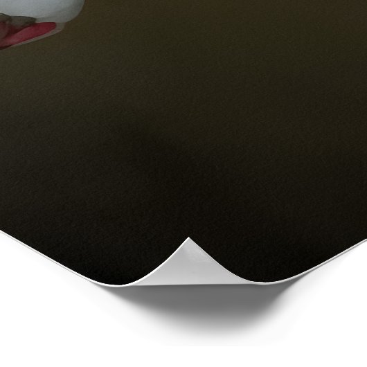 Dendroiumorchideeën Poster (Hoek)