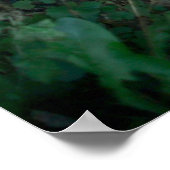 Denemarken_11 Poster (Hoek)