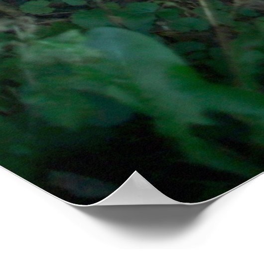 Denemarken_11 Poster (Hoek)