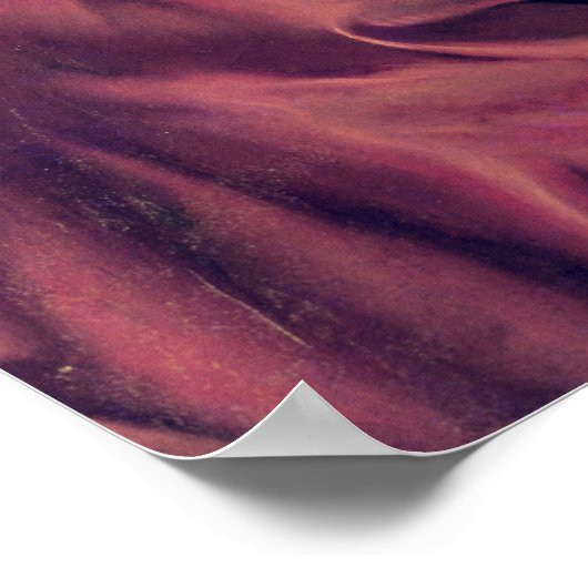 Denemarken Diderot 1828-29 Poster (Hoek)