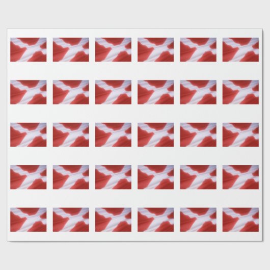 DENEMARKEN FLAG CADEAUPAPIER (Vlak)