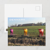 Denemarken Kleurrijke Koeien Ansichtkaart! Briefkaart (Voorkant / Achterkant)