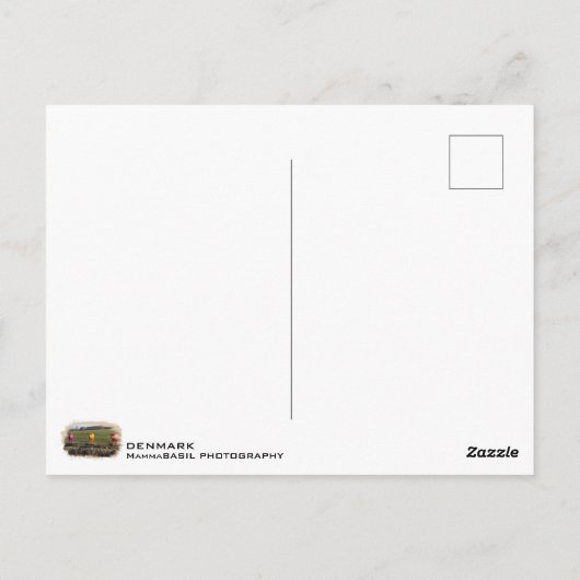 Denemarken Kleurrijke Koeien Briefkaart! Briefkaart (Achterkant)