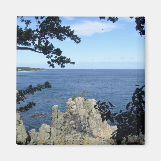 Denemarken: Kust van Denemarken Magneet (Voorkant)
