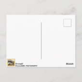 Denemarken, Oscar onder het Brug Briefkaart. Briefkaart (Achterkant)