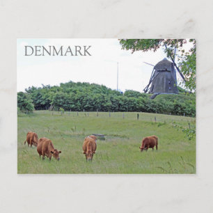 Denemarken Platteland Uitzicht Ansichtkaart! Briefkaart