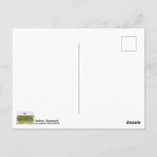 Denemarken, Viking Land Fyrkat Ansichtkaart! Briefkaart (Achterkant)