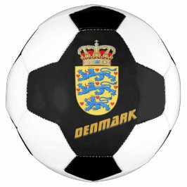 Denemarken Voetbal