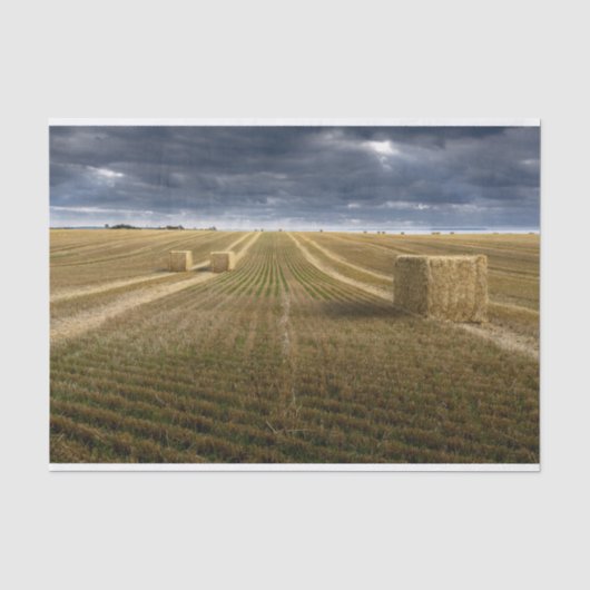Denemarken Wheat Field Tissuepapier (Voorkant)