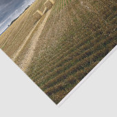 Denemarken Wheat Field Tissuepapier (Detail)