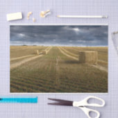 Denemarken Wheat Field Tissuepapier (Craft)