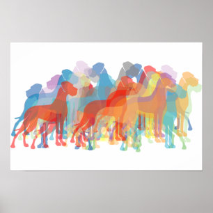 Denen met kleur poster