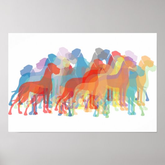 Denen met kleur poster (Voorkant)