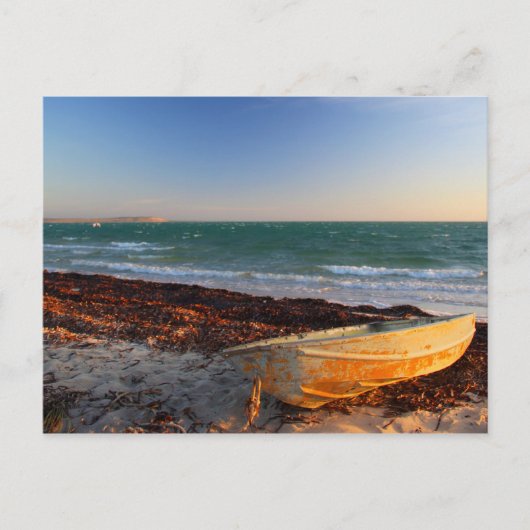 Denham - Western Australië Briefkaart (Voorkant)