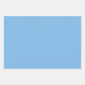 Denim blauw en gras groen inpakpapier vel (Voorkant 3)