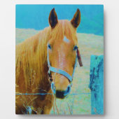 Denim blue tinted Horse Fotoplaat (Voorkant)