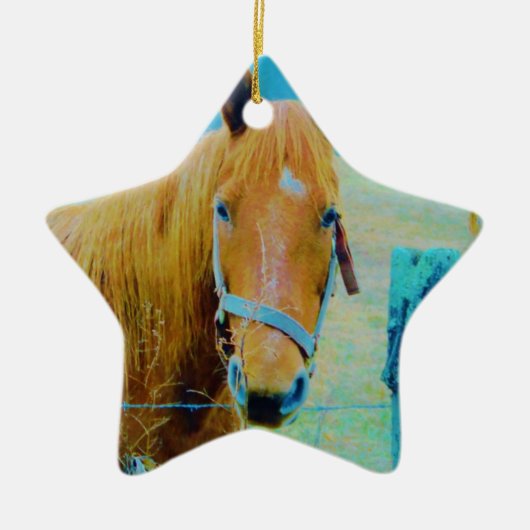 Denim blue tinted Horse Keramisch Ornament (Voorkant)