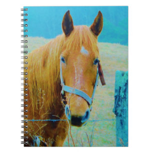 Denim blue tinted Horse Notitieboek