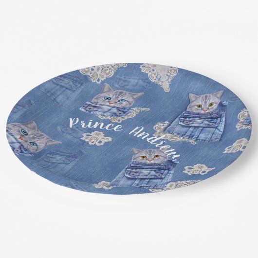 Denim Jean pockets, Kittens en Lace Papieren Bordje (Gekanteld)