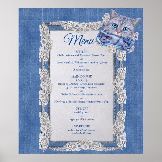 Denim Jean pockets, Kittens en Lace Poster (Voorkant)