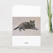 Denise, gefeliciteerd met de koningin kaart (Achterkant)